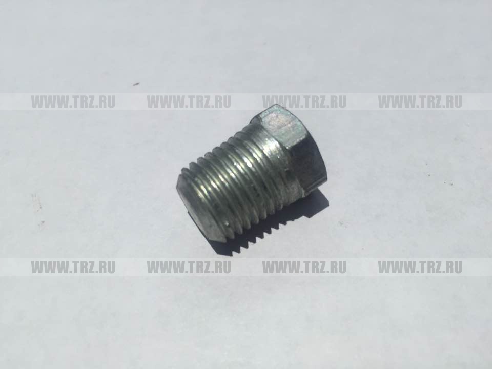 Пробка КГ 1/4" (ММЗ)   МТЗ-80/82