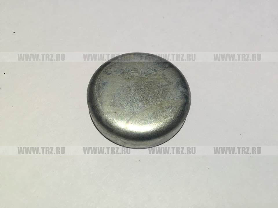 Заглушка головки блока средняя 21 гр. (ММЗ)   МТЗ-80/82